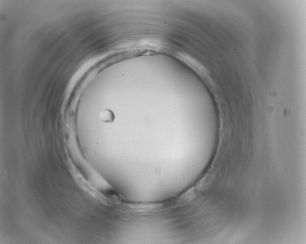 X0000078311200200611251525