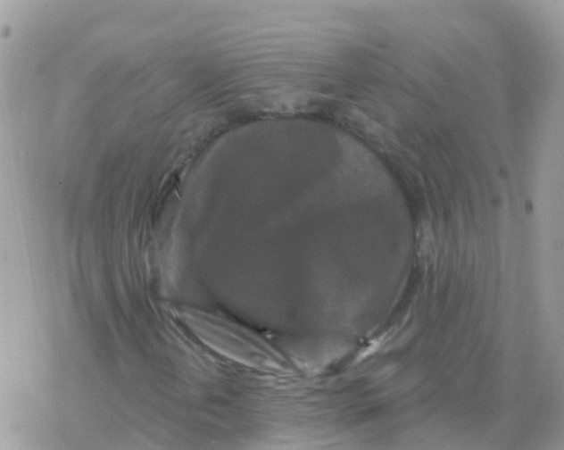 X0000078311202200611251525