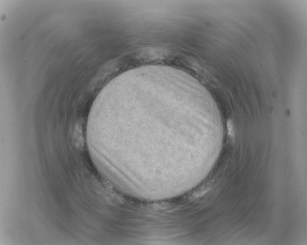 X0000078311203200611251525