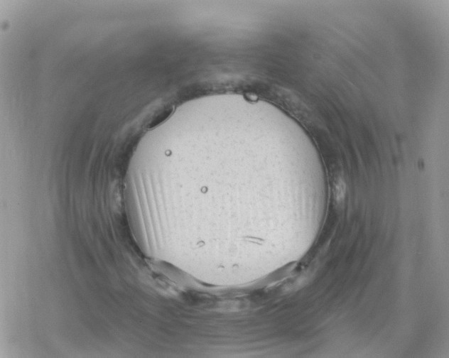 X0000078311204200611251525