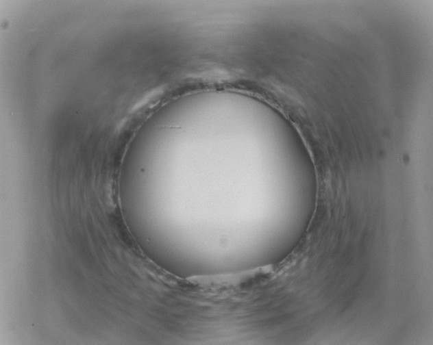 X0000078311205200611251525