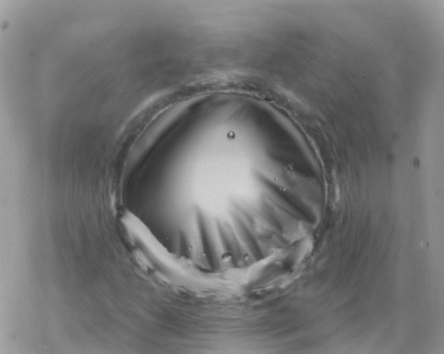 X0000078311206200611251525