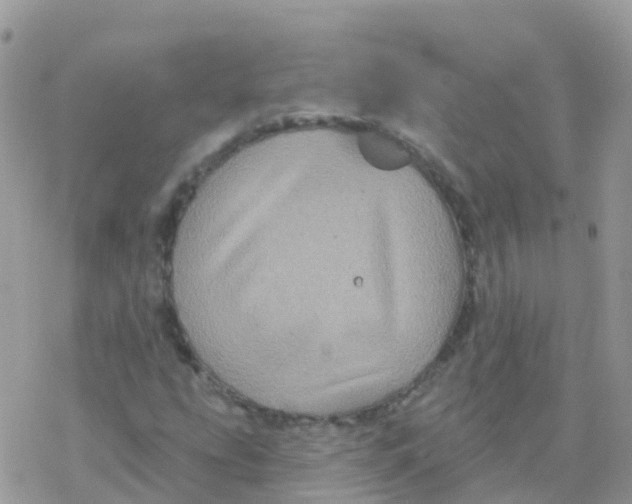 X0000078311207200611251525