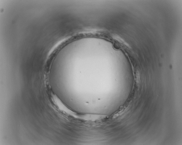 X0000078311208200611251525