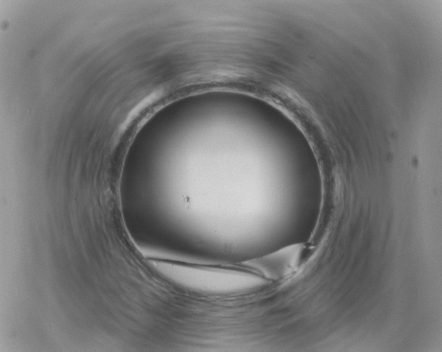 X0000078311210200611251525