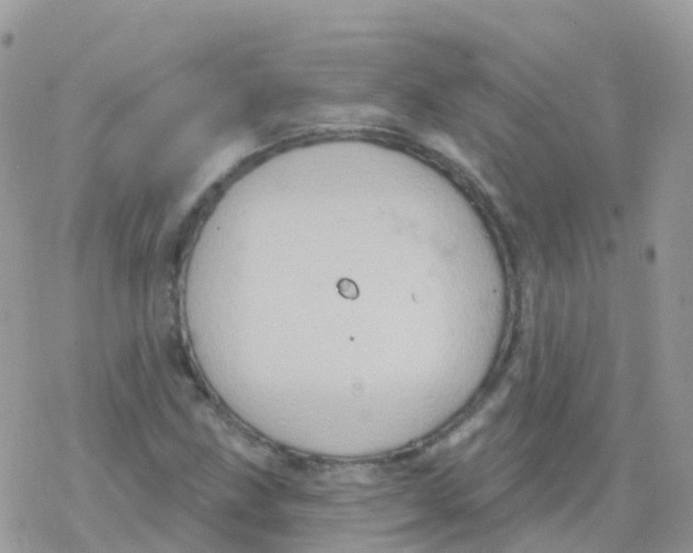 X0000078311211200611251525