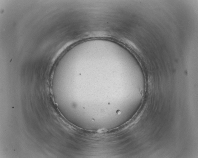 X0000078311212200611251525