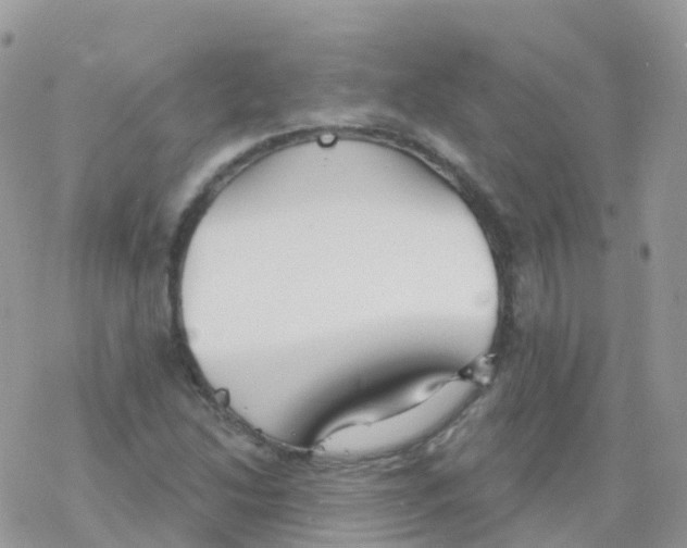 X0000078311214200611251525