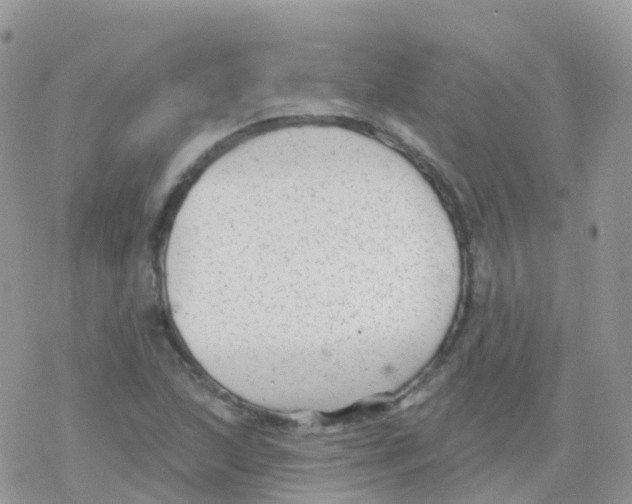 X0000078311215200611251525