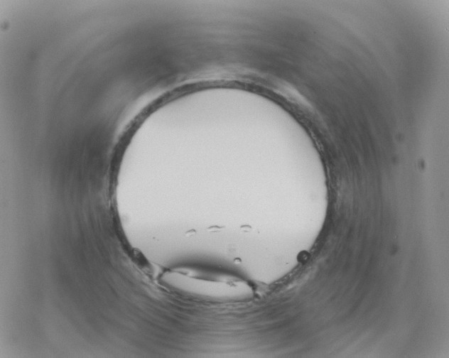 X0000078311216200611251525