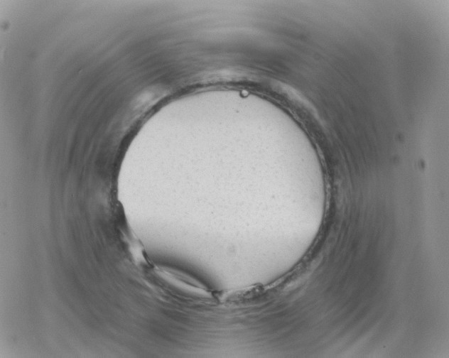 X0000078311217200611251525