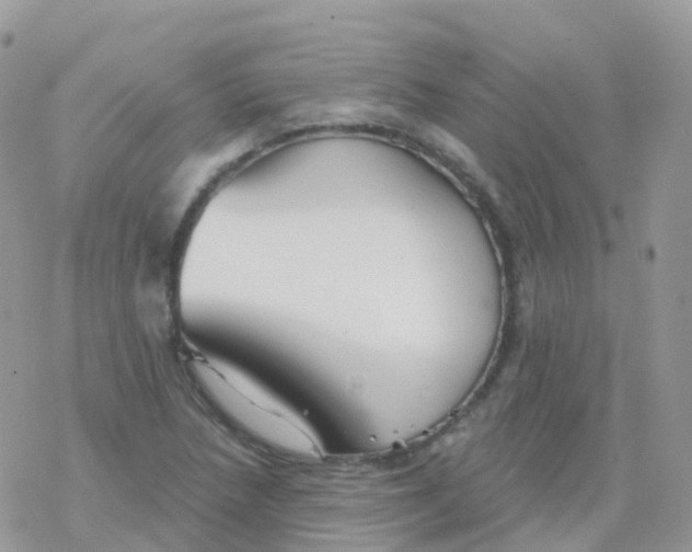 X0000078311218200611251525