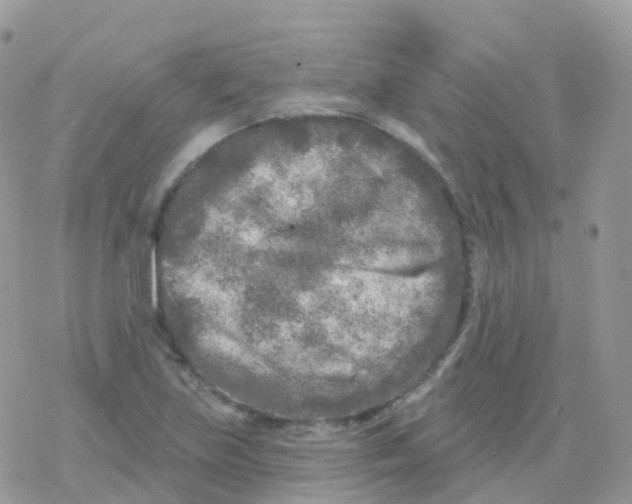 X0000078311219200611251525