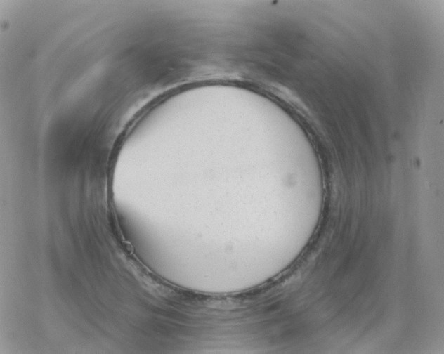 X0000078311220200611251525