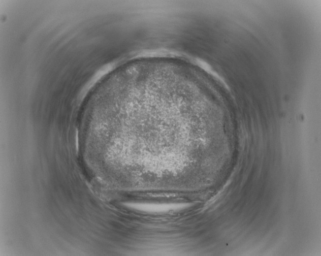 X0000078311221200611251525