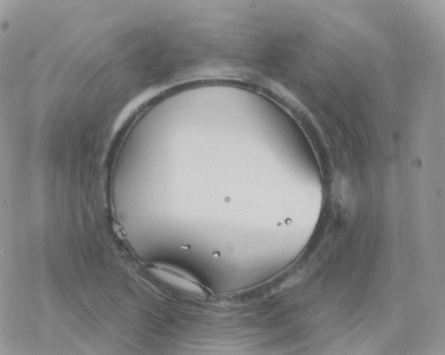 X0000078311222200611251525