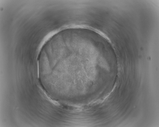 X0000078311223200611251525