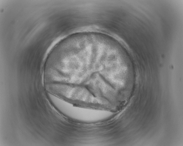 X0000078311224200611251525