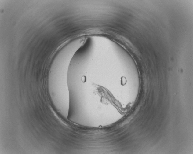 X0000078311225200611251525