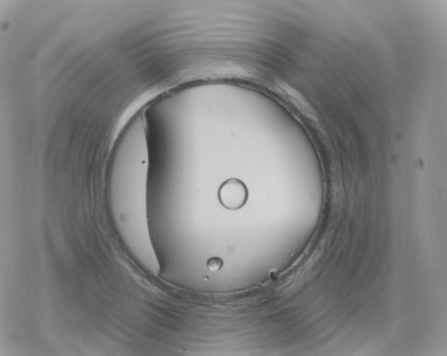 X0000078311226200611251525