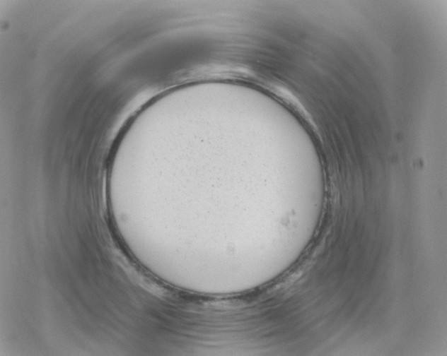 X0000078311227200611251525