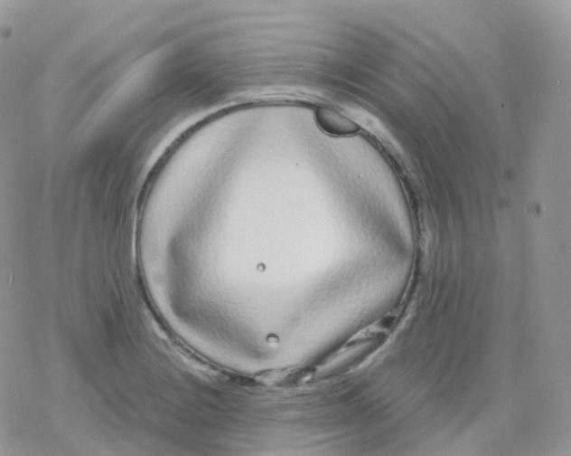 X0000078311228200611251525