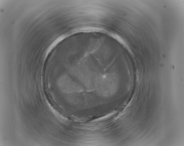 X0000078311229200611251525