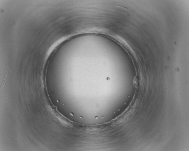 X0000078311230200611251525