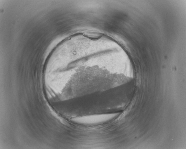 X0000078311231200611251525