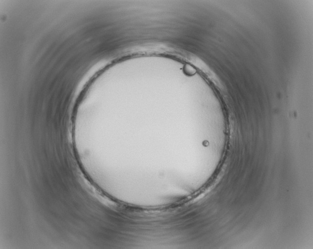 X0000078311232200611251525