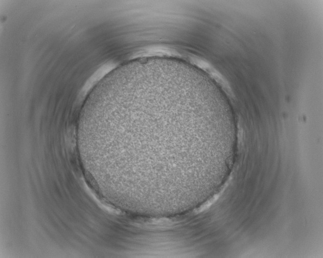 X0000078311233200611251525