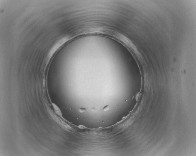 X0000078311234200611251525