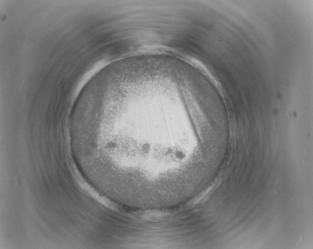 X0000078311235200611251525