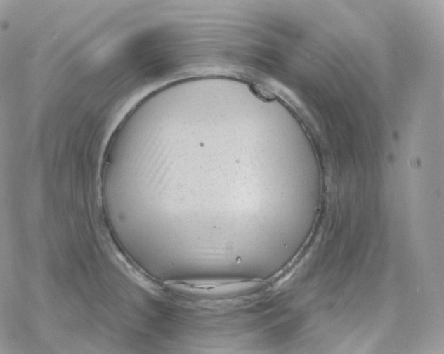 X0000078311236200611251525