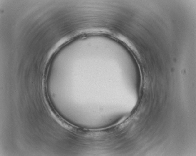 X0000078311237200611251525