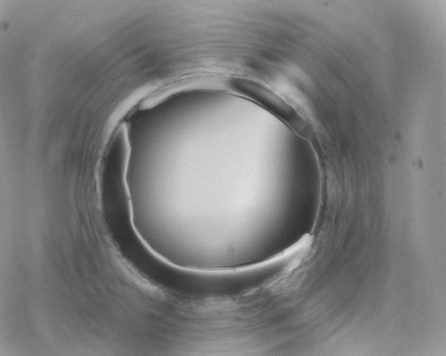 X0000078311238200611251525