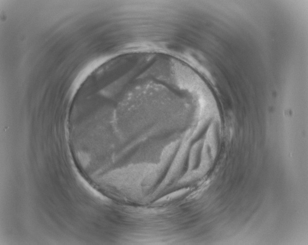 X0000078311239200611251525