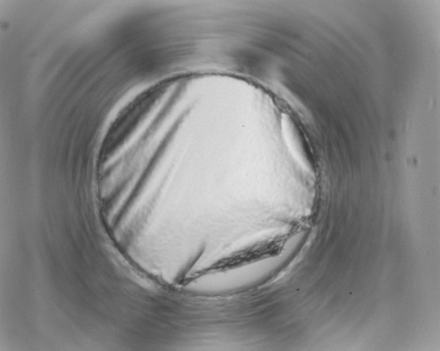 X0000078311240200611251525