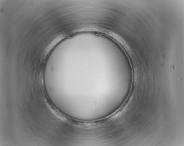 X0000078311241200611251525