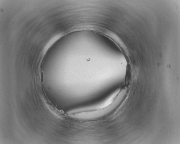 X0000078311242200611251525