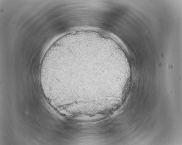 X0000078311244200611251525