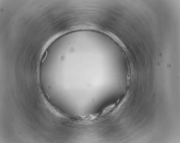 X0000078311246200611251525