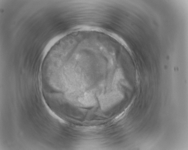 X0000078311247200611251525