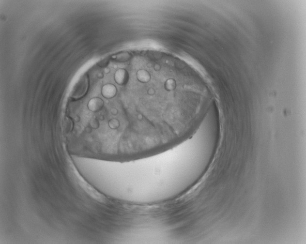 X0000078311248200611251525