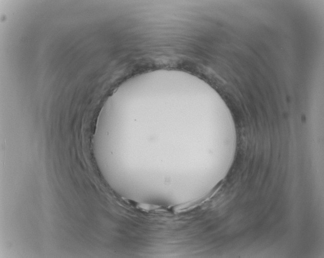 X0000078311249200611251525