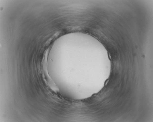 X0000078311250200611251525