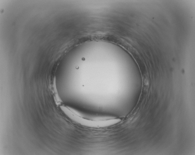 X0000078311252200611251525