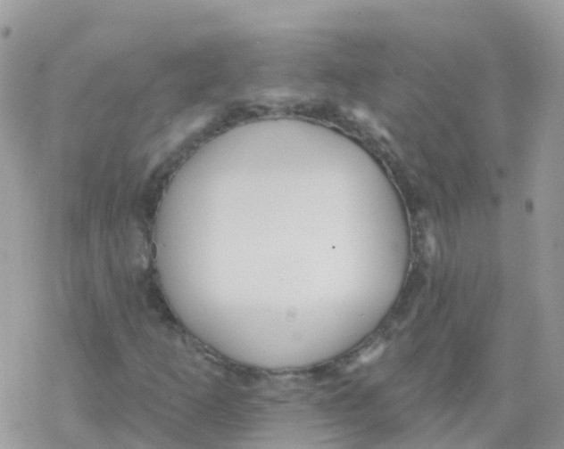 X0000078311253200611251525