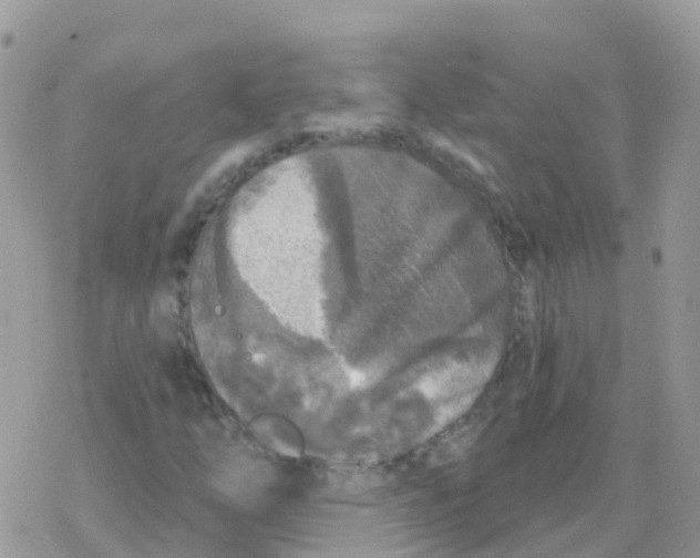 X0000078311254200611251525