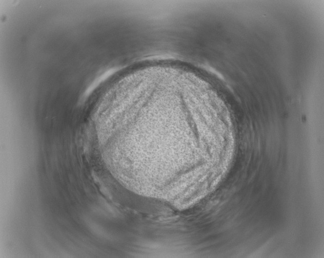 X0000078311255200611251525